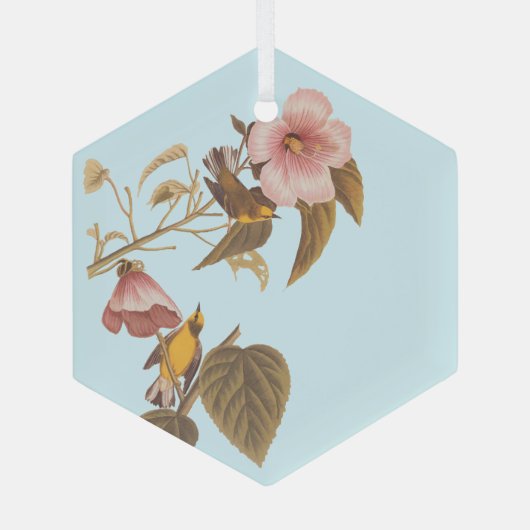 Audubon Blue Winged Yellow Warbler Bird Glas Ornament (Achterkant)