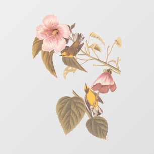 Audubon Blue Winged Yellow Warbler Bird Orna Raamsticker