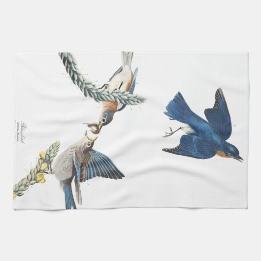 Audubon Bluebird Birds Flowers Kitchen Towel Theedoek (Horizontaal)