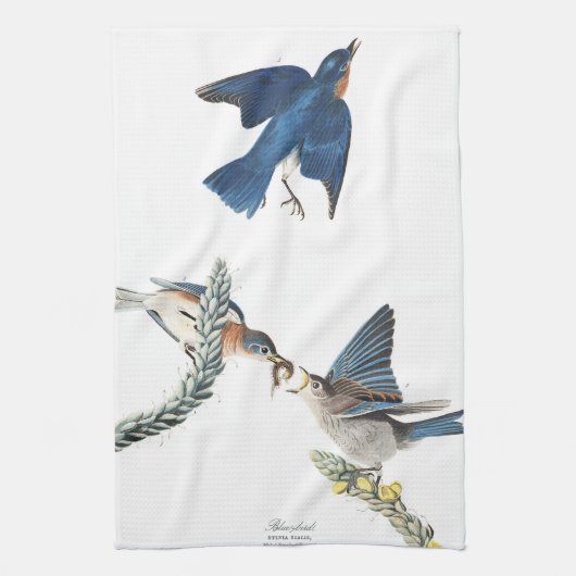 Audubon Bluebird Birds Flowers Kitchen Towel Theedoek (Verticaal)