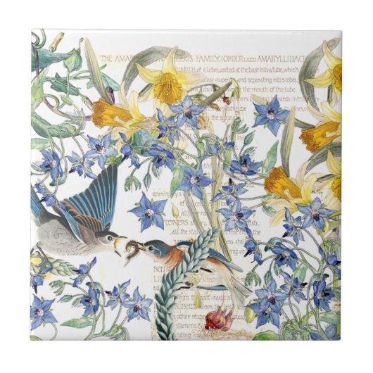 Audubon Bluebird Birds Narcissus Flowers Tile Tegeltje (Voorkant)