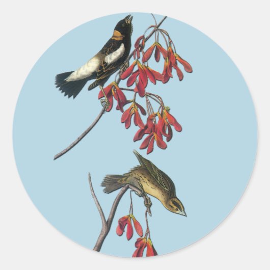 Audubon Bobolink Bird Art Stickers (Voorkant)