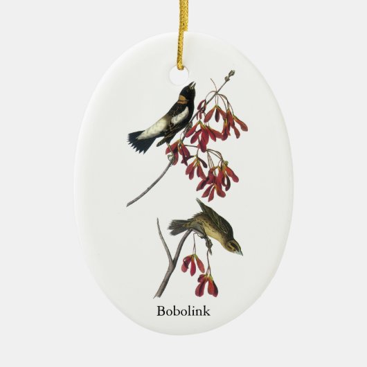 Audubon Bobolink Keramisch Ornament (Voorkant)