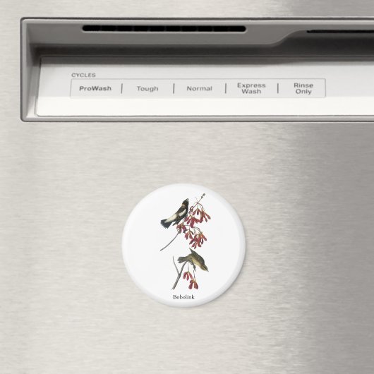 Audubon Bobolink Magneet (Insitu (Vaatwasser))