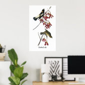 Audubon Bobolink Poster (Thuiskantoor)