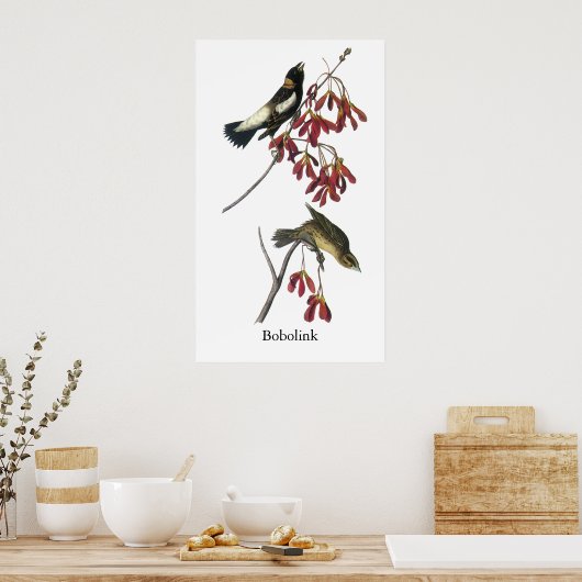 Audubon Bobolink Poster (Keuken)