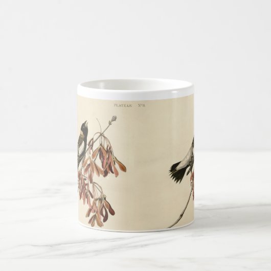 Audubon Bobolink-schenkende koffie Mok (Center)