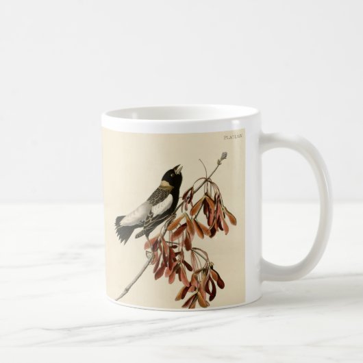  Audubon Bobolink-schenkende koffie Mok (Rechts)