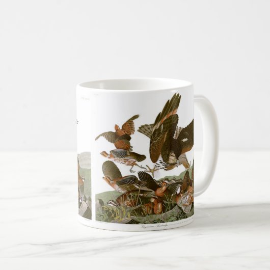 Audubon Bobwhite Quail Schilder Gift Koffiemok (Voorkant rechts)