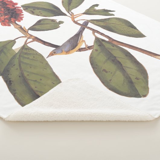 Audubon Bonaparte Flycatcher Bird Sherpa Deken (3/4)