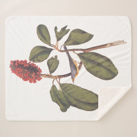 Audubon Bonaparte Flycatcher Bird Sherpa Deken (Voorkant (horizontaal))