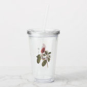 Audubon Bonaparte Flycatcher Songbird en Magnolia Acryl Drinkbeker (Achterkant)