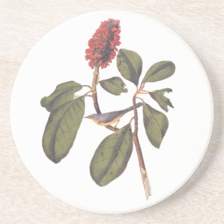 Audubon Bonaparte Flycatcher Songbird en Magnolia Zandsteen Onderzetter