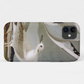 Audubon: Bonaparte s Gull Case-Mate iPhone Case (Achterkant (horizontaal))