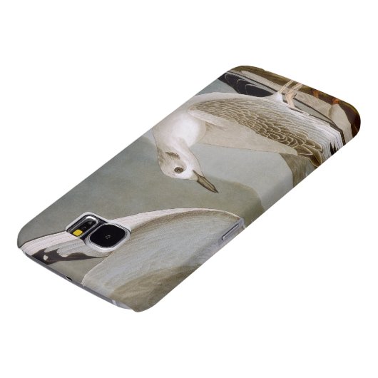 Audubon: Bonaparte s Gull Case-Mate Samsung Galaxy Hoesje (Onderkant)