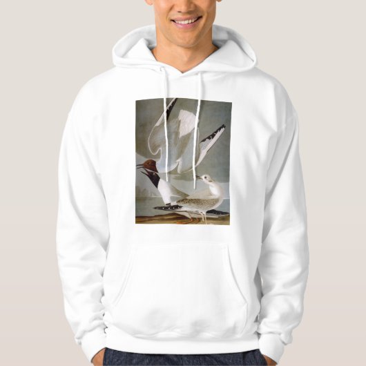 Audubon: Bonaparte s Gull Hoodie (Voorkant)