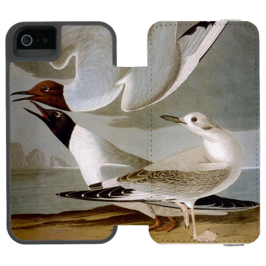 Audubon: Bonaparte s Gull Incipio iPhone Portemonnee Hoesje (Agenda Open)