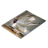 Audubon: Bonaparte s Gull Notitieboek (Linkerzijde)