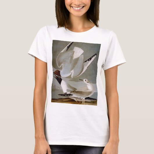 Audubon: Bonaparte s Gull T-shirt (Voorkant)