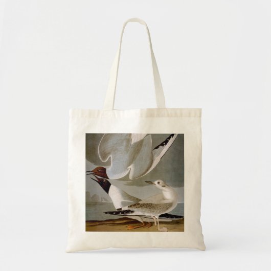 Audubon: Bonaparte s Gull Tote Bag (Voorkant)