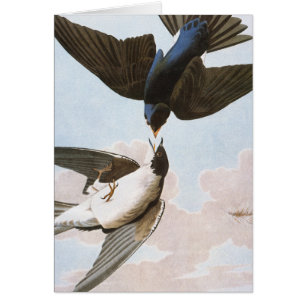 Audubon: boomschotel