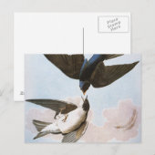 Audubon: boomschotel briefkaart (Voorkant / Achterkant)