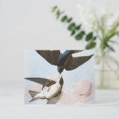 Audubon: boomschotel briefkaart (Staand voorkant)