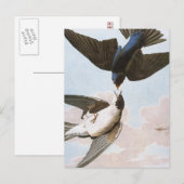 Audubon: boomschotel briefkaart (Voorkant / Achterkant)