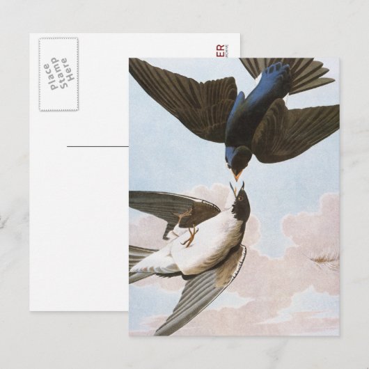 Audubon: boomschotel briefkaart (Voorkant / Achterkant)