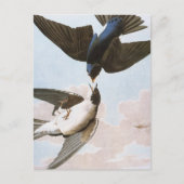 Audubon: boomschotel briefkaart (Voorkant)