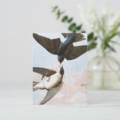 Audubon: boomschotel briefkaart (Staand voorkant)