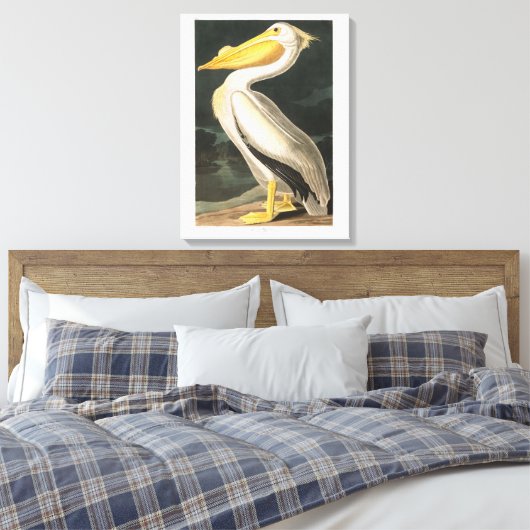 Audubon Bord 311 Amerikaanse witte pelikaan Canvas Afdruk (Insitu (Slaapkamer))