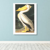 Audubon Bord 311 Amerikaanse witte pelikaan Canvas Afdruk (Insitu (Houten vloer))