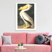 Audubon Bord 311 Amerikaanse witte pelikaan Canvas Afdruk (Insitu (Woonkamer))