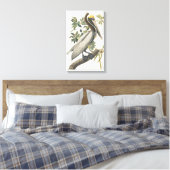 Audubon Bruin Pelikaan Kunst Canvas Afdruk (Insitu (Slaapkamer))