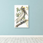 Audubon Bruin Pelikaan Kunst Canvas Afdruk (Insitu (Houten vloer))
