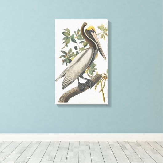 Audubon Bruin Pelikaan Kunst Canvas Afdruk (Insitu (Houten vloer))
