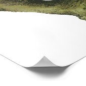 Audubon California Condor Poster (Hoek)