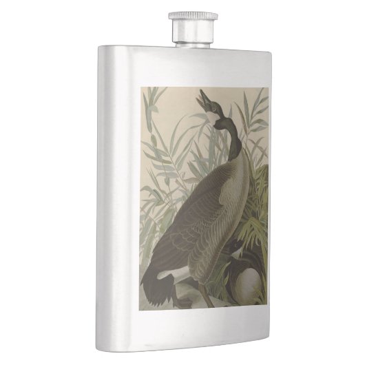 Audubon Canada Goose Wildlife Bird Flacon (Rechts)