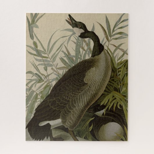 Audubon Canada Goose Wildlife Bird Legpuzzel (Verticaal)