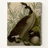 Audubon Canada Goose Wildlife Bird Notitieboek (Achterkant)