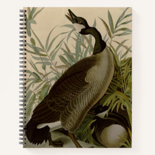 Audubon Canada Goose Wildlife Bird Notitieboek