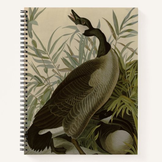 Audubon Canada Goose Wildlife Bird Notitieboek (Voorkant)