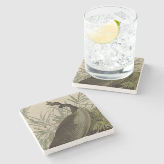 Audubon Canada Goose Wildlife Bird Stenen Onderzetter (Zijkant)