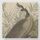Audubon Canada Goose Wildlife Bird Stenen Onderzetter (Voorkant)