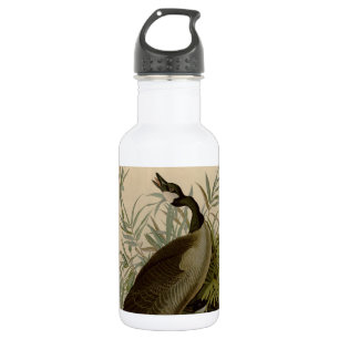 Audubon Canada Goose Wildlife Bird Waterfles