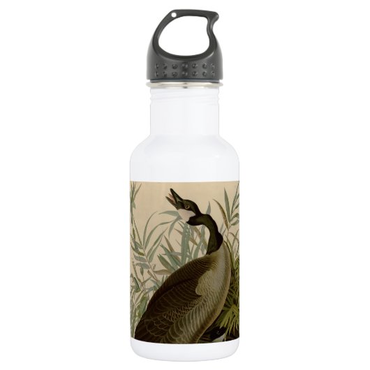 Audubon Canada Goose Wildlife Bird Waterfles (Voorkant)