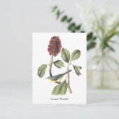 Audubon Canada Warbler Briefkaart (Staand voorkant)