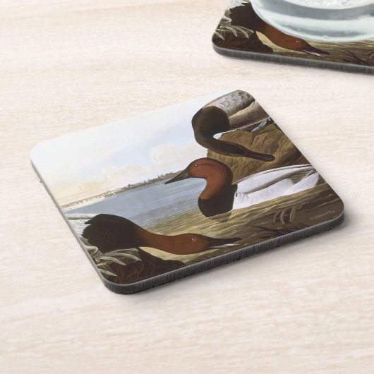 Audubon: Canvasback Bier Onderzetter (Linkerzijde)