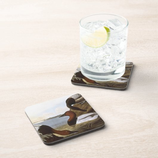 Audubon: Canvasback Bier Onderzetter (Rechterzijde)